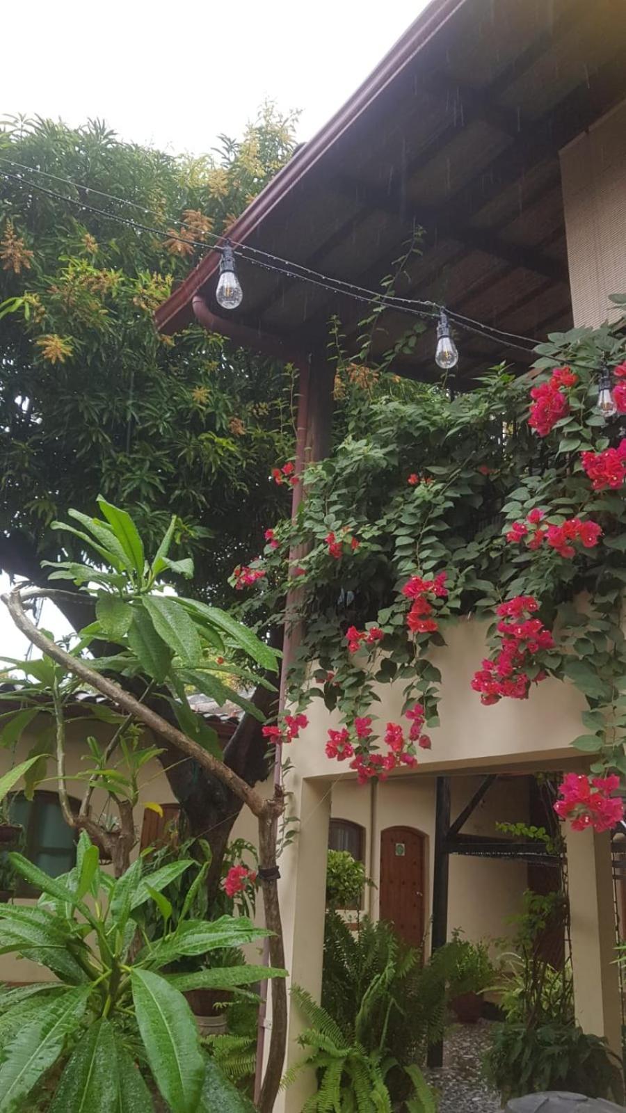 Casa Riverstone León Dış mekan fotoğraf